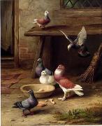 unknow artist Pigeons 194 painting